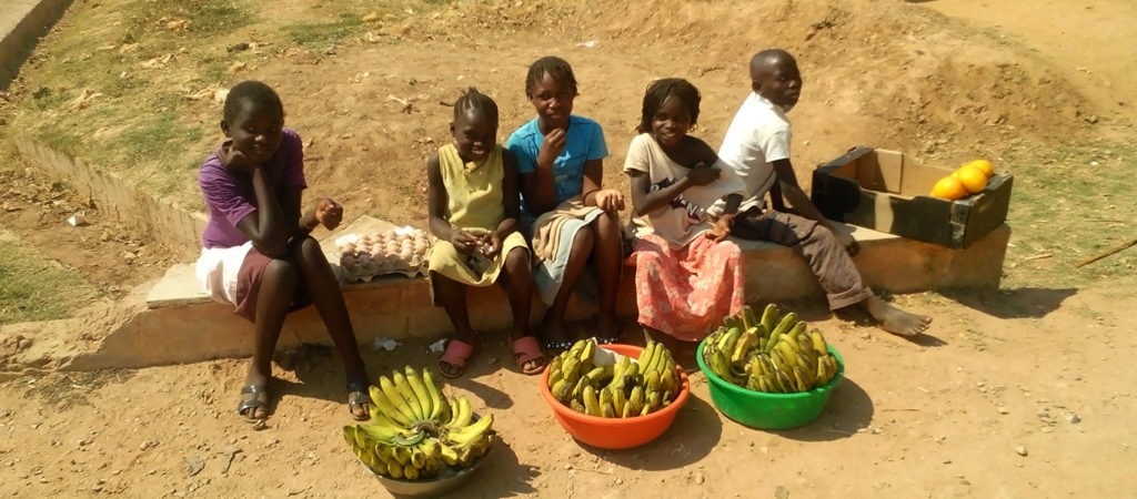 PHB Digital Agriculture